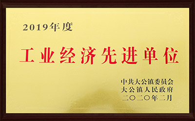 2019年度工业经济先进单位